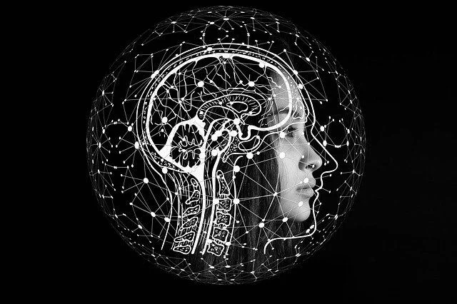 Data 5 Science et 95 Ingenierie